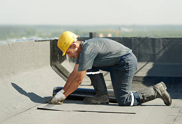 Best Attic Insulation Installation  in Grand Marais, MN